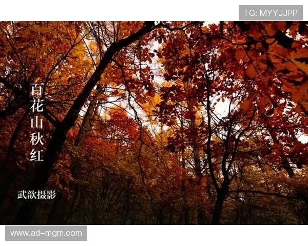 《挑战音乐记忆力听歌词接龙游戏让你秒懂每首歌的下一句》 《挑战音乐记忆力听歌词接龙游戏让你秒懂每首歌的下一句》